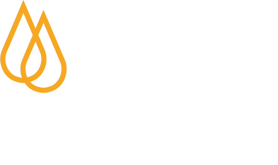 Logical Biological logo